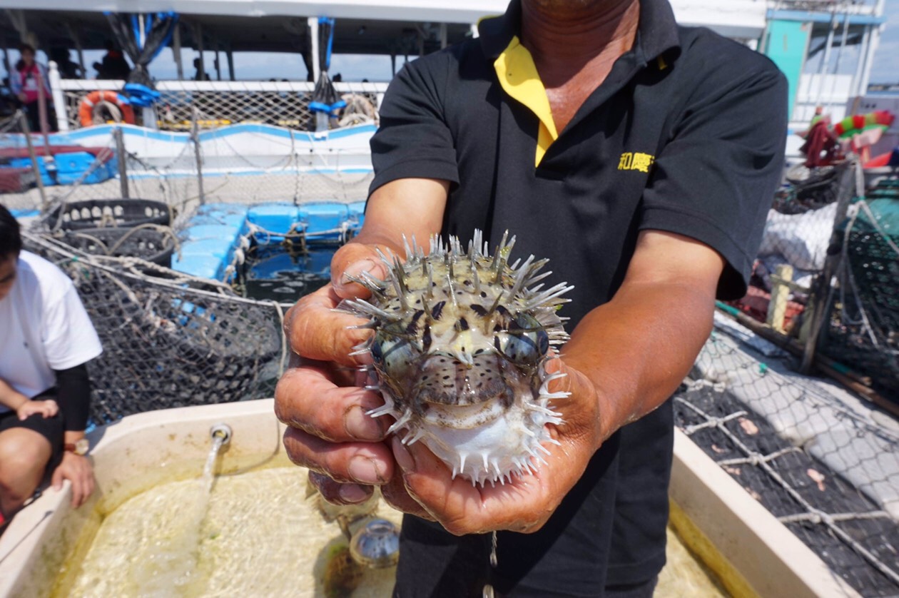 澎湖旅遊-海洋牧場含半潛艇